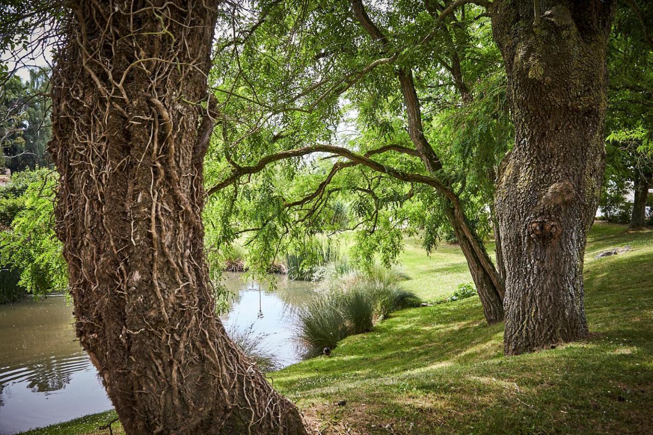 Готель Les Jardins De L'Anjou Montjean-sur-Loire Екстер'єр фото