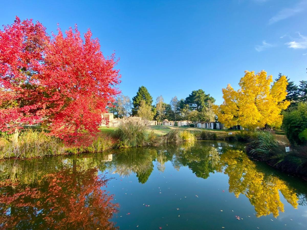 Готель Les Jardins De L'Anjou Montjean-sur-Loire Екстер'єр фото